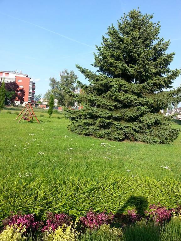 שיופוק Surman Apartmanok מראה חיצוני תמונה